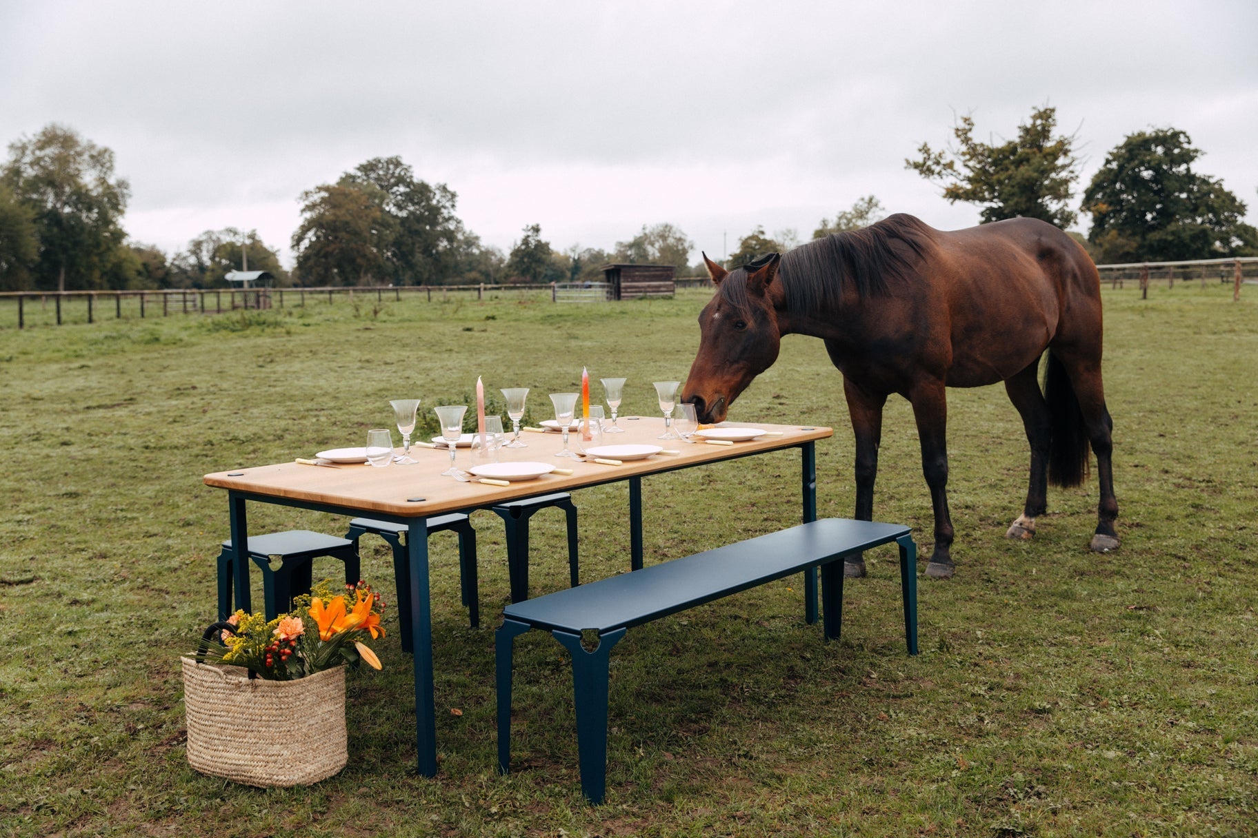 cheval mangeant sur une table en chêne massif