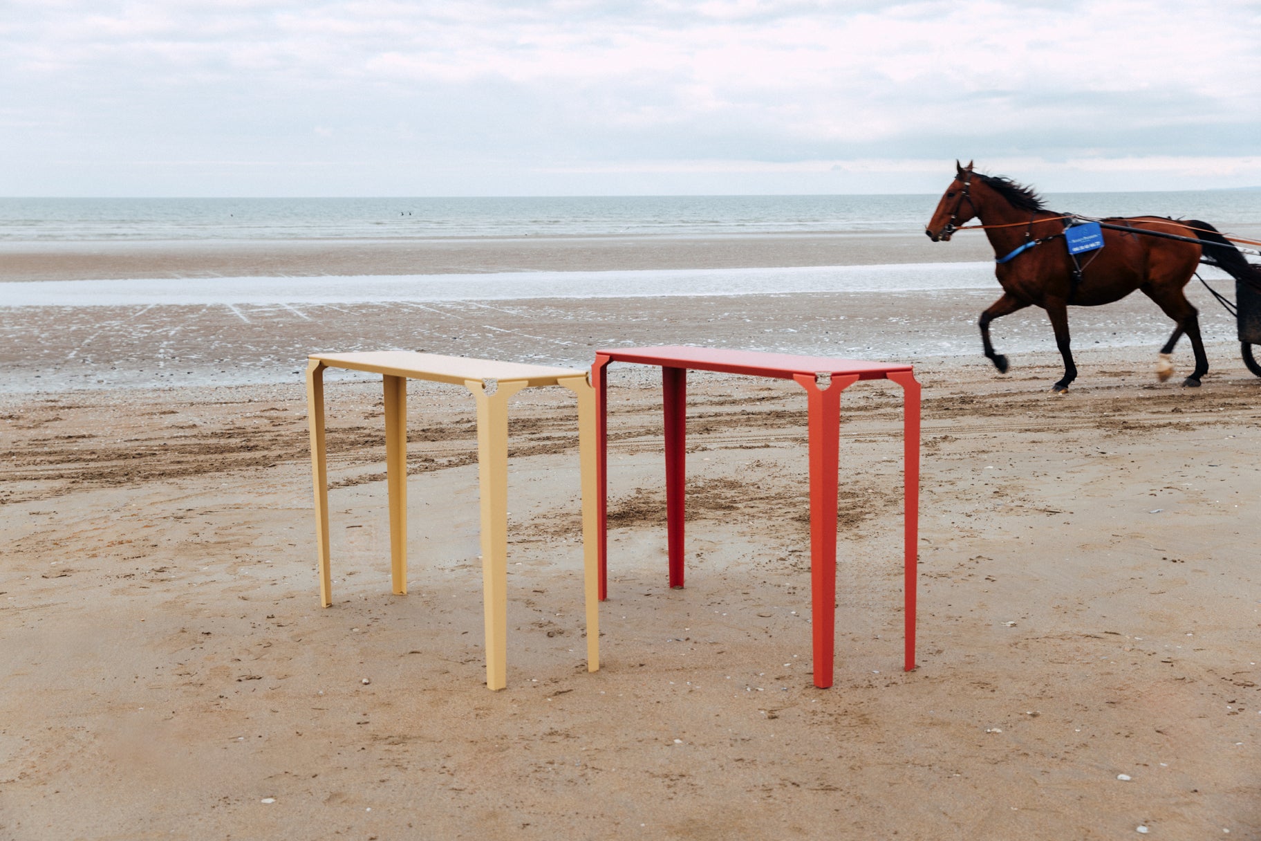 consoles acier chantilly sur la plage avec sulky en arrière plan