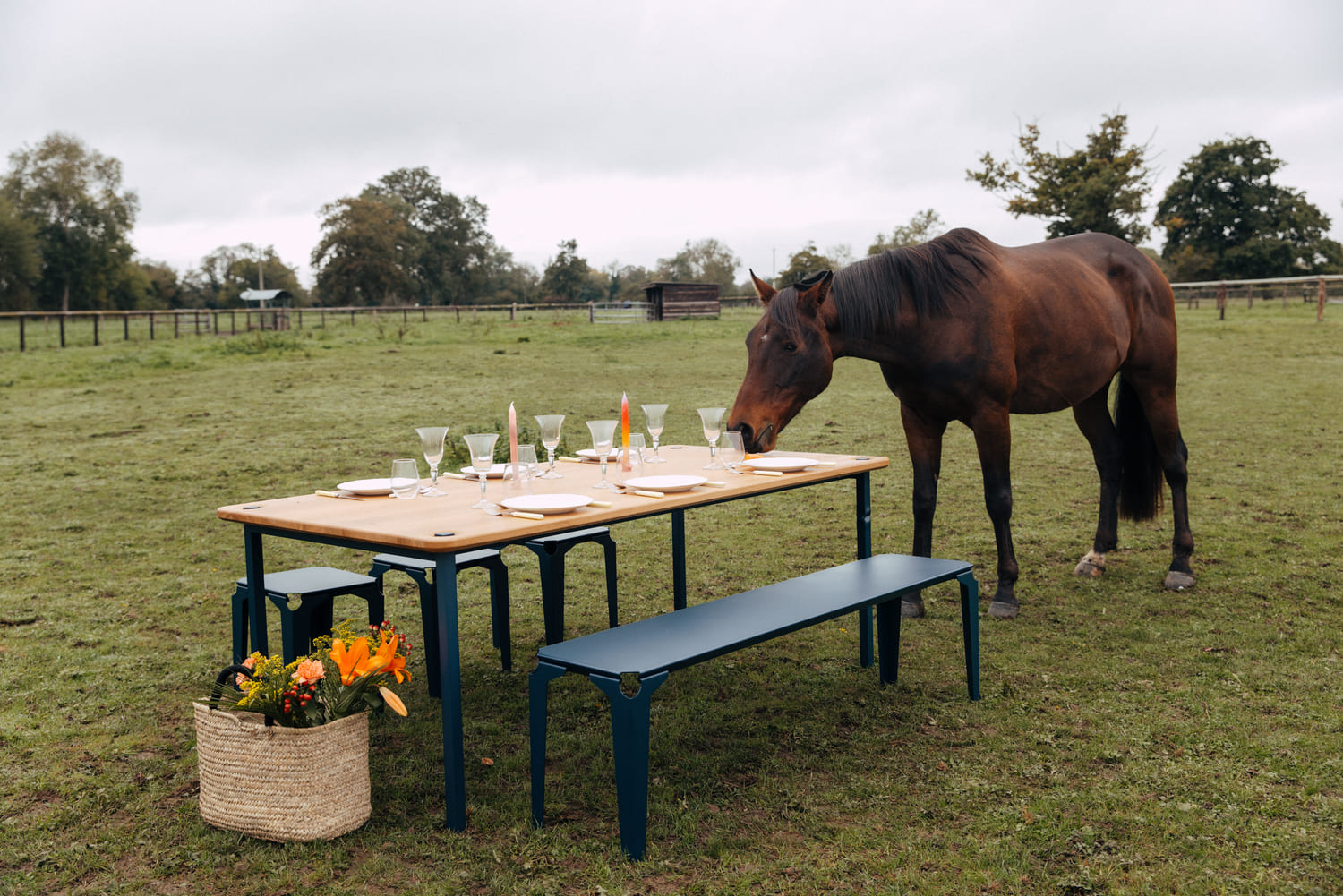 table à manger dressée avec un cheval qui mange sur le plateau en chêne ses carottes