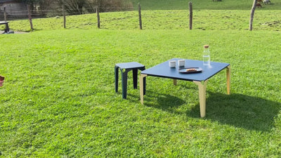 Table jullouville bi-color au milieu de l'herbe à la campagne avec une petite fille qui regarde les vaches