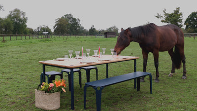 cheval mangeant sur une table dressé des morceaux de carottes